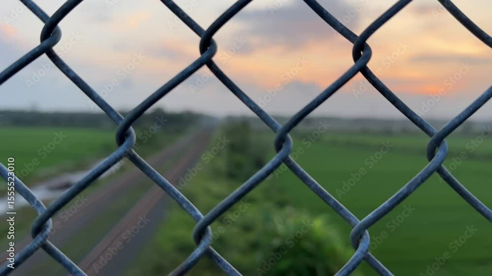 Railway Tracks Through Green Rice Fields at Sunset – View Behind Wire Fence