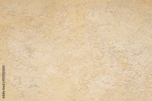 Wallpaper Mural Plaster wall texture. Cream concreted wall for interiors texture Torontodigital.ca