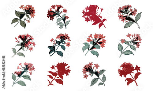 Bundle Bouvardia Flower Floral Cluster With Flat Red Ton (1) 109 Bouvardia Flower Flo