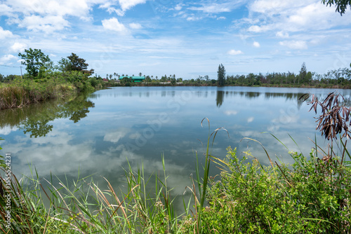 Rural Pond View with Cloud Reflections