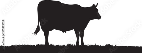 Cow silhouette 