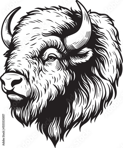 Hand Drawn Bison Head Illustration
