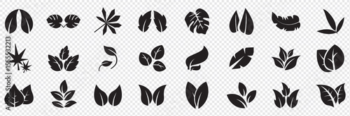 Leaf icons set, tropical leaves set, palm leaves silhouettes isolated, green leafs, environment and nature eco sign