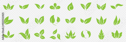 Green leaf icons set. Leaves icon on isolated background. Collection green leaf. Elements design for natural, eco, vegan, bio labels. Vector illustration EPS 10