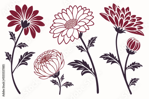 set of Chrysanthemum vector silhouette illustration isolated on white background