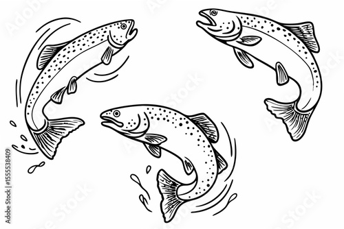 set of fish