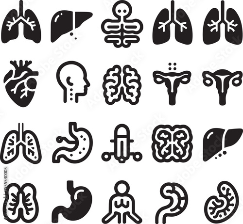 vector set of human organs