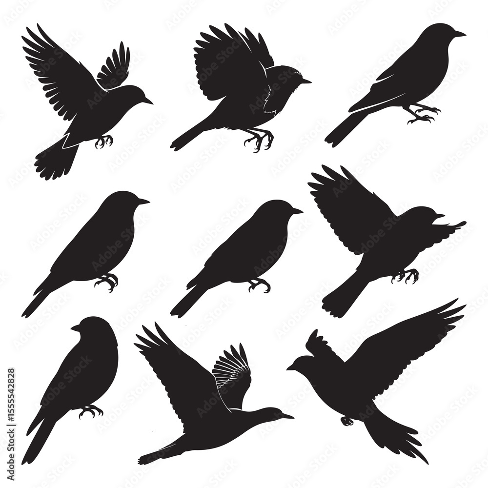 Obraz premium set of silhouettes of birds