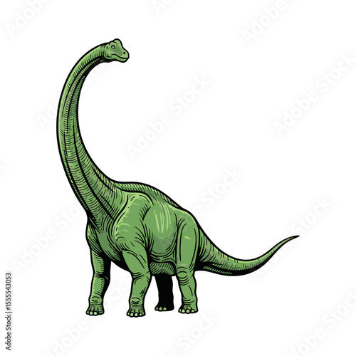 brontosaurus dinosaur vector illustration on white background