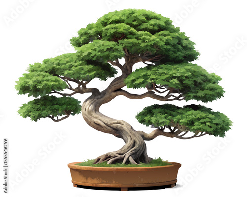 vector of a miniature bonsai tree with trimmed foliage and twisting trunk in shallow pot, isolated on white background

