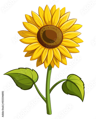 vector of a fully bloomed sunflower head with yellow petals and brown seeds, realistic lighting and shadows, isolated on white background
