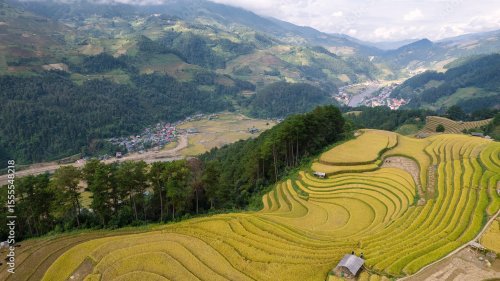 Fototapeta premium Golden rice terraces cascade down hillsides towards a valley town and river, showcasing Vietnam's stunning agricultural landscape.