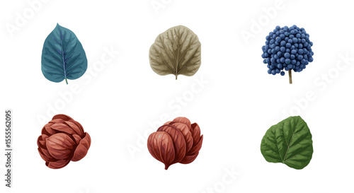 Botanical study featuring assorted leaves and flower buds in a grid arrangement on white backdrop