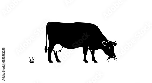 Vector Cartoon Black and White Cow Eating Grass – Isolated Dairy Farm Animal Illustration on White Background