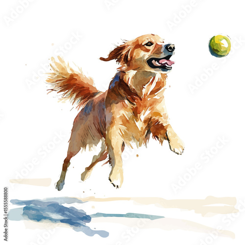watercolor vector of Dog Playing Fetch Beach, isolated on a white background.