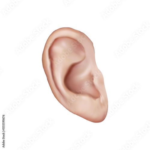 Human Ear illustration on white background vol 01