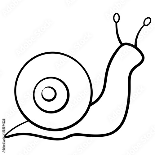 illustration of snail