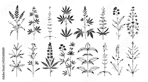 Collection of botanical illustrations of various plants and flowers in a distinctive silhouette style