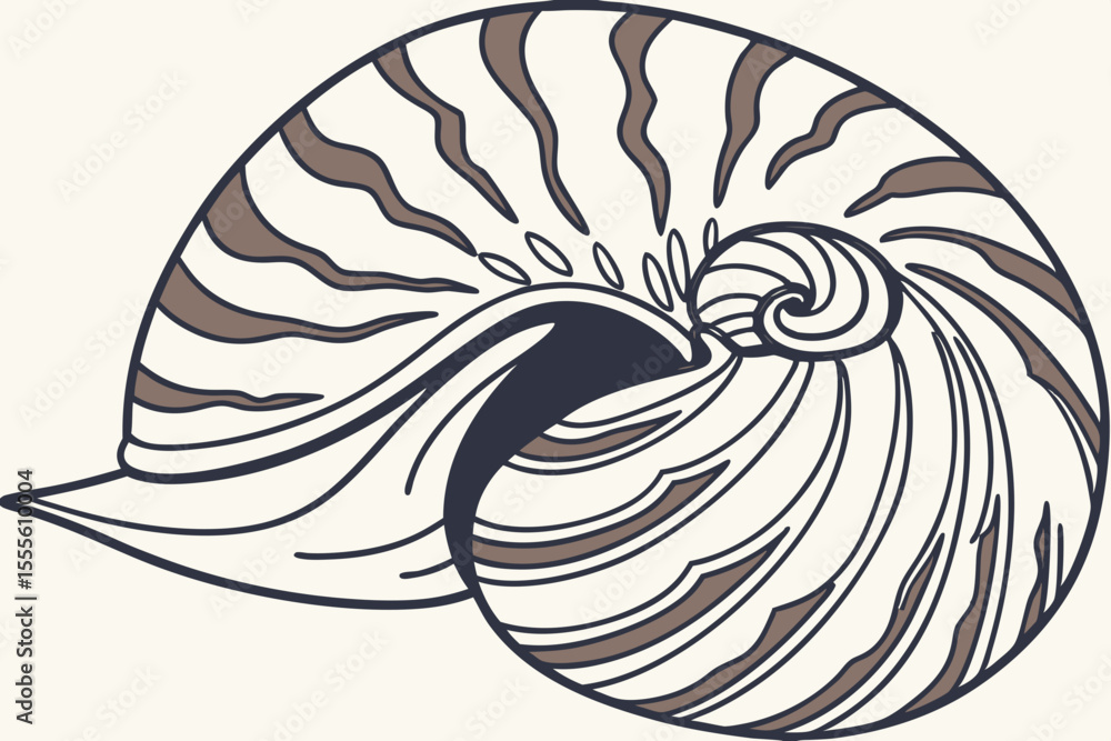 Close-up of isolated ocean shell with transparent background, perfect for beach, summer, or holiday-themed designs. Close-up of isolated ocean shell with transparent background, perfect for beach, summer, or holiday-themed designs.