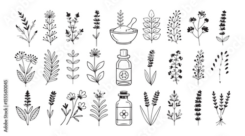 Collection of hand drawn botanical elements and essential oil bottles in a charming silhouette style