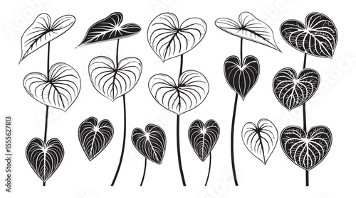 Collection of stylized heart shaped leaves with intricate vein patterns in a black and white silhouette