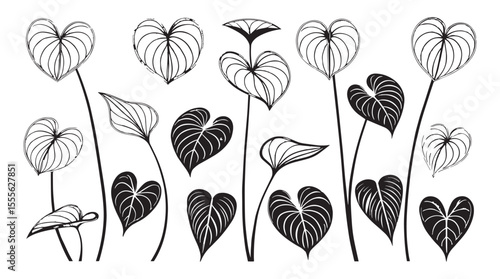 Collection of stylized heart shaped leaves with intricate line art patterns and contrasting black and white silhouette