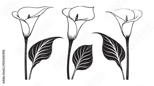 Elegant black and white calla lily flowers and leaves in a stylized drawing silhouette