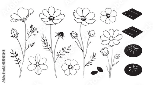 Collection of delicate line art cosmos flowers and chocolate treats silhouette