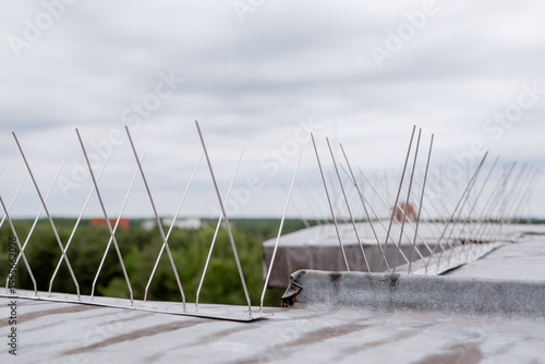 Картината върху платно Close-up view of stainless steel bird deterrent spikes installed along a rooftop