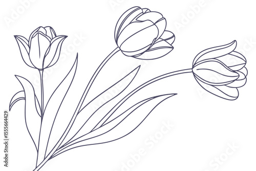 Elegant  set of one line tulips hand drawn contuor drowing 