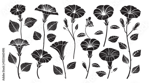 Collection of elegant black and white morning glory flower silhouettes with detailed petals and leaves