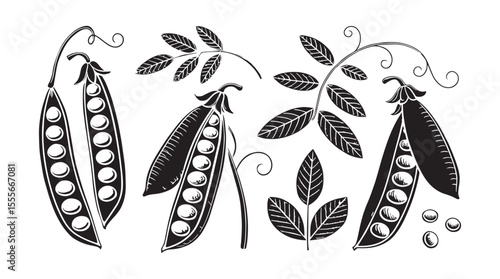 Collection of stylized pea pods with leaves and tendrils in a graphic black and white silhouette style