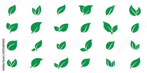 Eco green color leaf vector logo flat icon set. Isolated leaves icons on white background. Set of leaves green leaf nature art illustration. Bio plant and tree floral forest concept design.