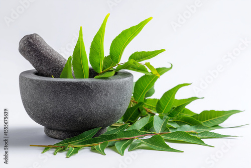 Neem leaves with mortar and pestle on white background