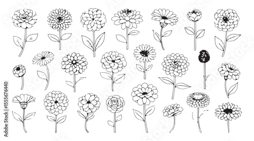 Collection of detailed hand drawn flower illustrations in a classic outline silhouette style