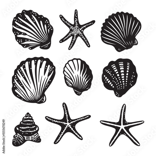 Set of different black sea shells and starfish vector illustration