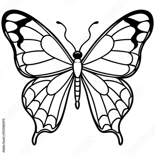 butterfly vector illustration
