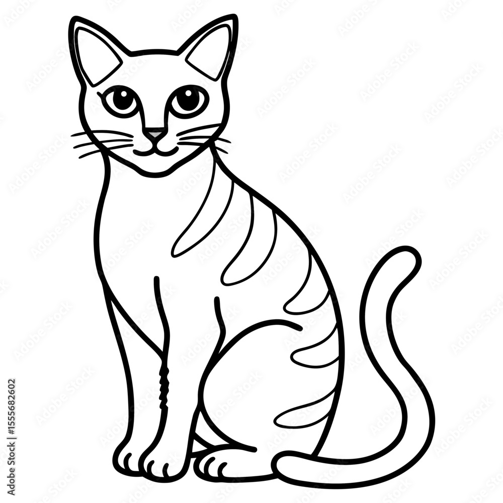 black and white cat black and white cat