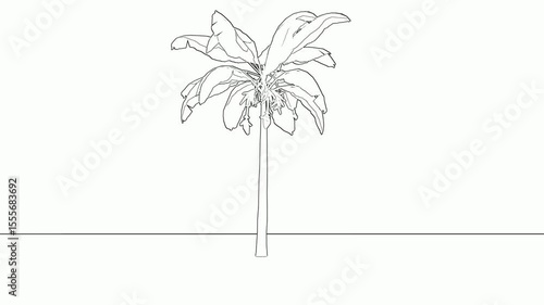 line art animation of swaying banana tree white background