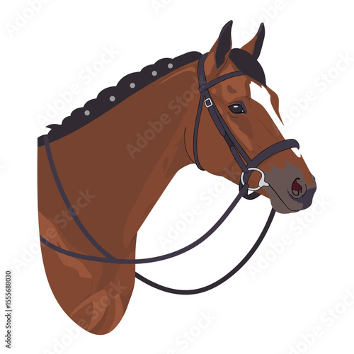 Horse head in bridle showcasing elegant features and strong posture  