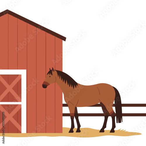 Brown horse standing beside red wooden barn in sunny environment  