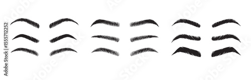 Isolated Eyebrows set Cartoon. Eyebrow makeup template. Classic brow makeup shaping vector set. Various eyebrows types. shapes, thin, thick, curved eyebrows set. 