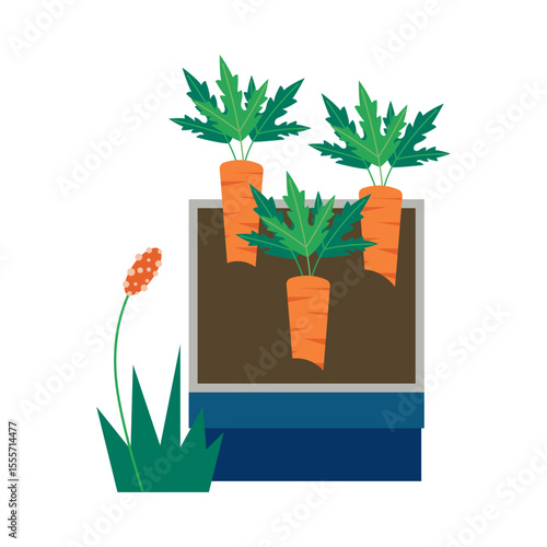 Harvest-ready carrots growing in containers. Homegrown concept vector illustration.