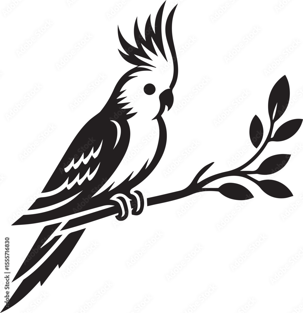 Obraz premium Cockatiel Parrot Vector 
