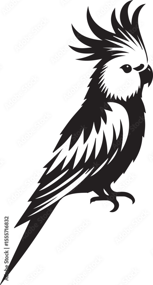 Obraz premium Cockatiel Parrot Vector