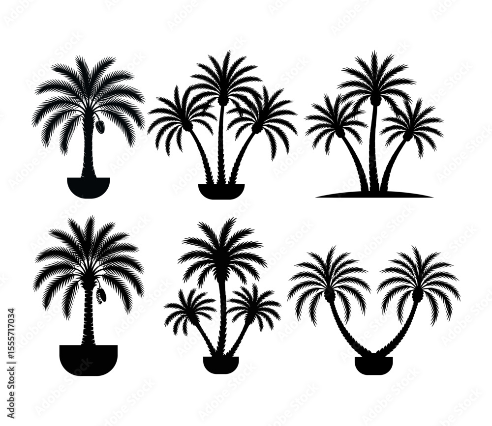Naklejka premium Tropical palm trees set silhouettes