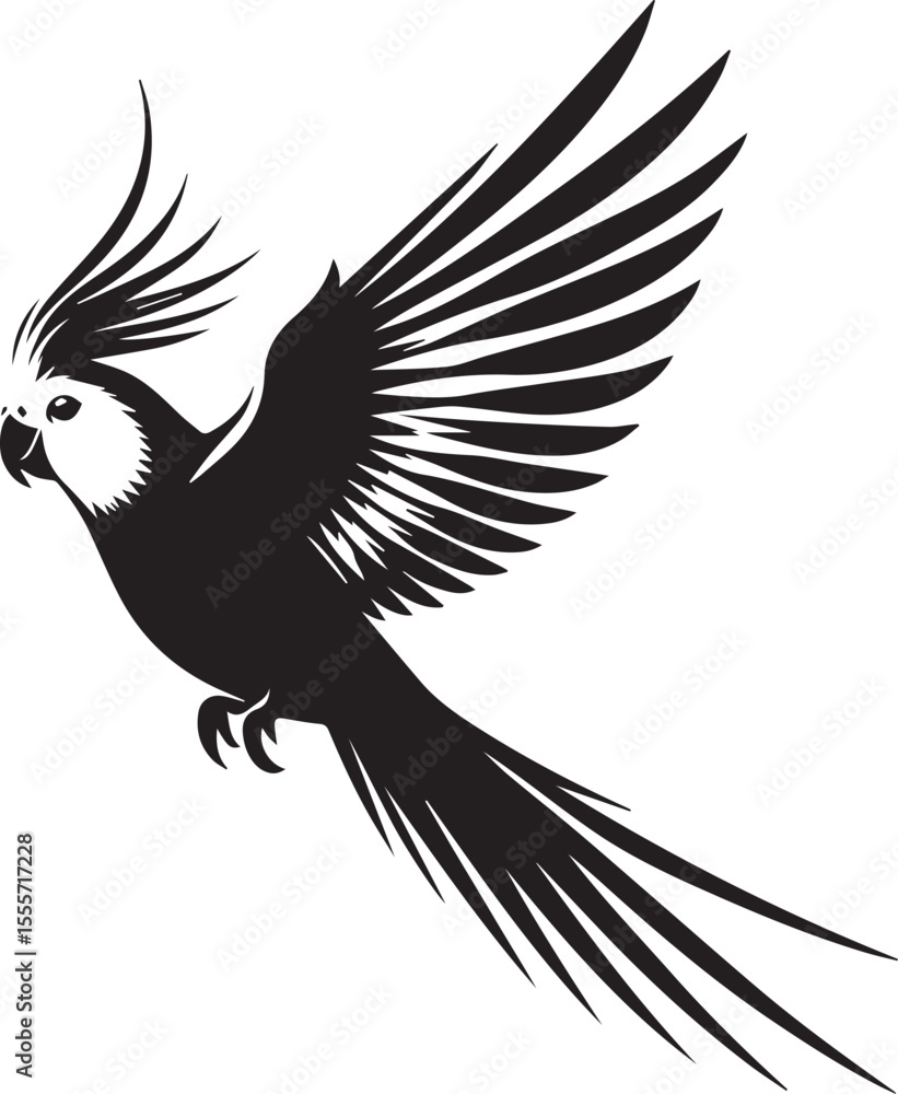 Obraz premium Cockatiel Parrot Vector