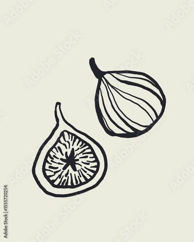 Hand drawn doodle sketch vector of whole and halved fig fruit, mediterranean summer food in dolce vita style