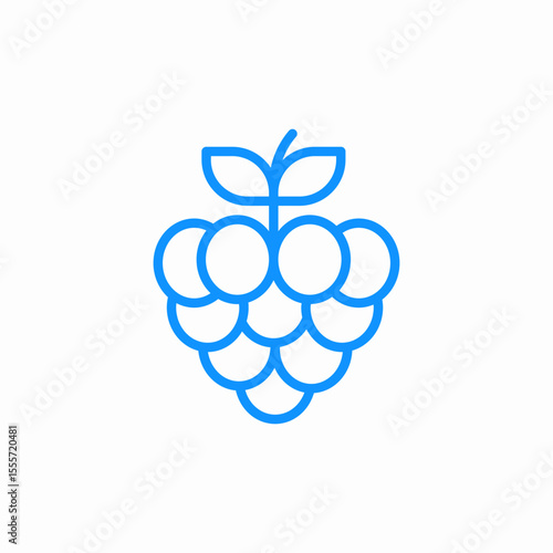 bunch grapes icon sign vector