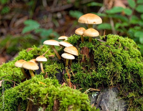 Wallpaper Mural Generated image Torontodigital.ca